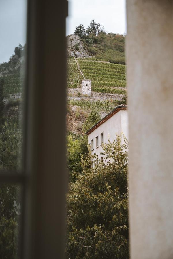 Le Dromardechois - Gite Meuble 6 Personnes Tournon Sur Rhone - Ecolodgite エクステリア 写真